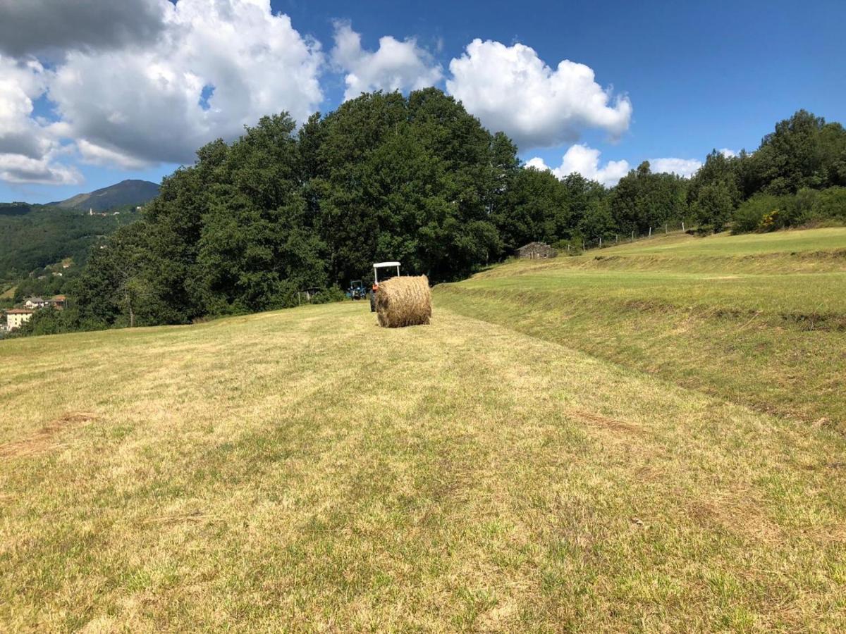 Le Pianelle Villa Varese Ligure Bagian luar foto